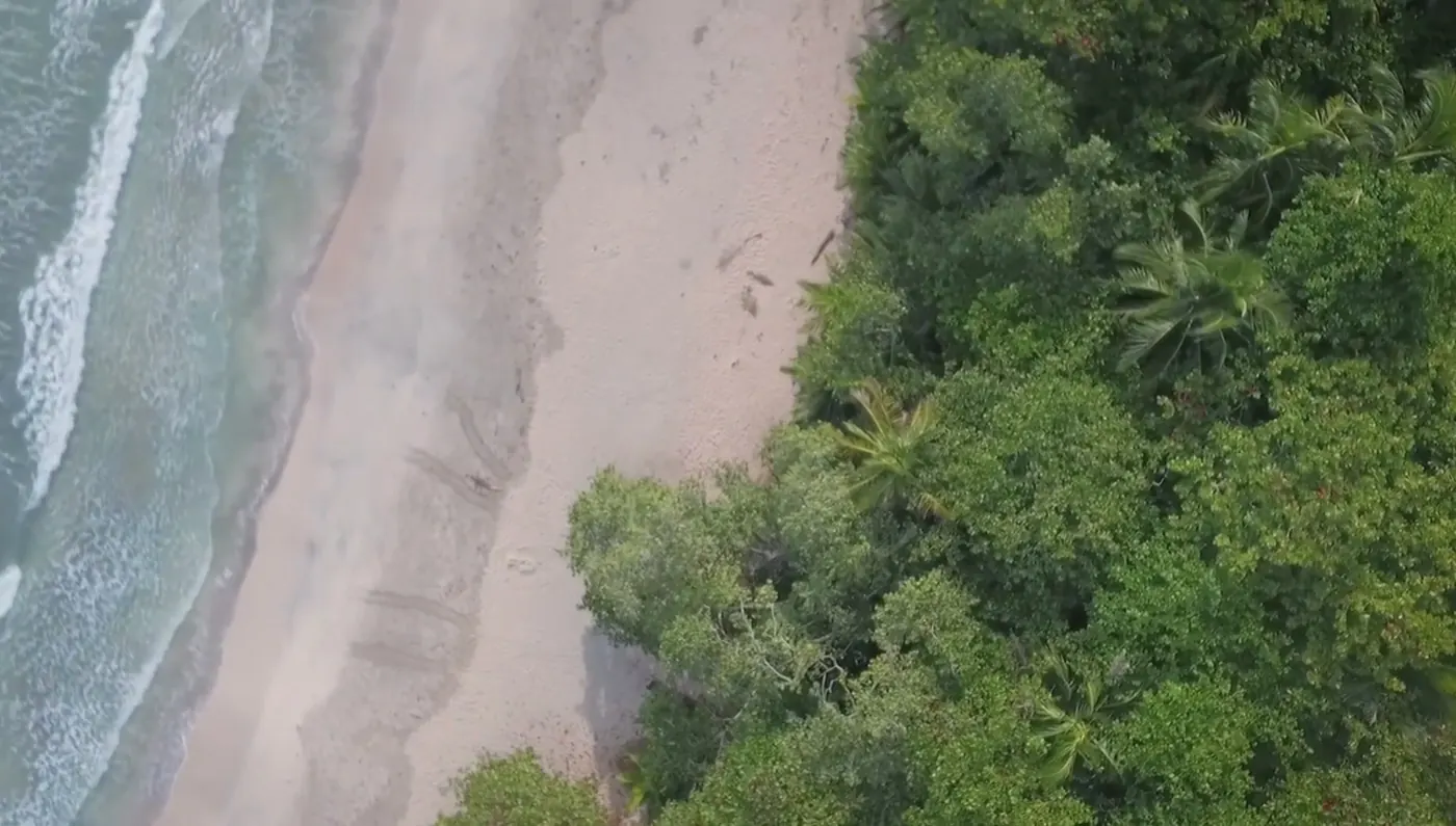 Aerial view of a Costa Rican beach and rainforest